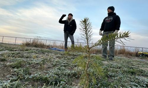 Utah is going big on helping farmers grow crops with less water. Here’s where the water and the money is flowing