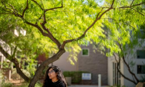You can still have an “oasis” in the desert