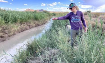As Utah’s San Rafael River dries, scientists try to give native fish a fighting chance
