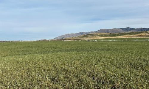 Search Utah ag companies that received state funds to save water
