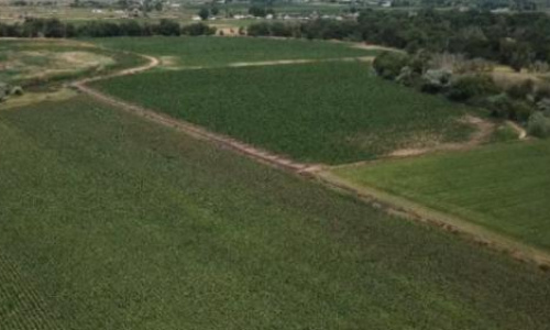 More farmers sign up for water conservation grants, while a new bill tracks golf course water use