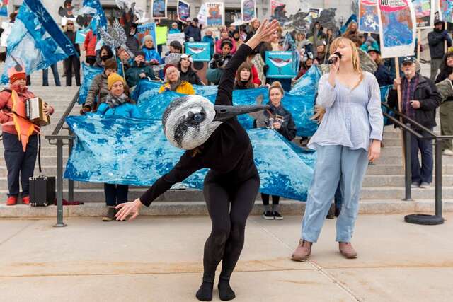 bird carter 