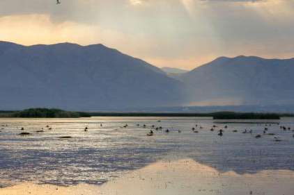 The Great Salt Lake wetlands near Corinne, Box Elder County, on July 13. Congress passed a bill Monday that helps fund studies of saline lakes in Great Basin states, like the Great Salt Lake, over the next five years. It's up to President Joe Biden to sign it. (Ben B. Braun, Deseret News)
