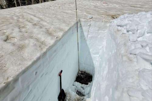 Dusty snow is visible at an Alta Atwater snow pit on May 17. (Photo: Otto Lang via University of Utah)