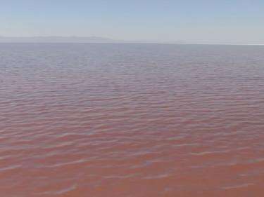 The pink appearance of the North Arm of the Great Salt Lake looks quite different from the typical blue-green water seen near the Marina. Photo courtesy FOX 13 News