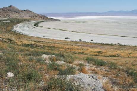 Gunnison Island hosts one of the largest breeding grounds for American white pelicans in the world.  (Aimee Van Tatenhove, UPR)