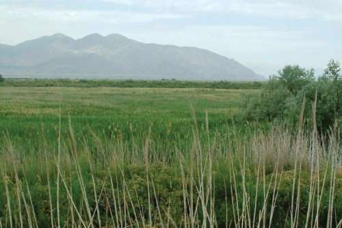 Undeveloped Northpoint property southeast of Great Salt Lake. Courtesy SLC.gov