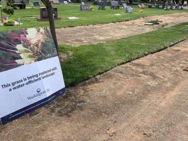 Outside the Washington City Cemetery and a nearby athletic field, city crews are removing turf.