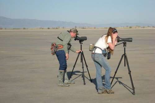 Weber State University Professor John Cavitt and a student look for Snowy Plovers during a survey in 2008. (Weber State University)